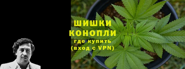 тгк Богородицк
