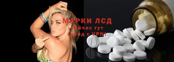 таблы Бородино