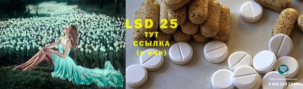 индика Белоозёрский