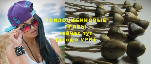MDMA Premium VHQ Бугульма